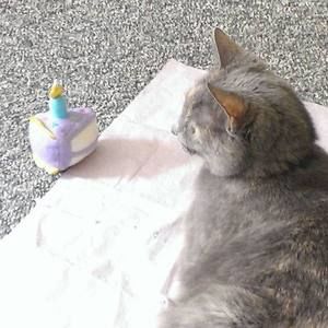 Meet your Posher, Leslee